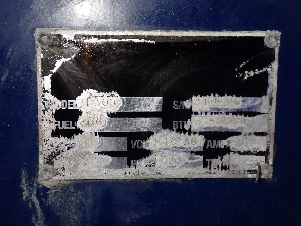 Pem Corp. 545.000 Btu Power Washer - P300